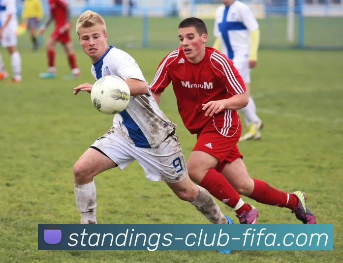 世界杯官网平台生态图